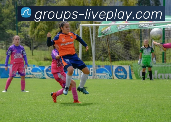 真人游戏官网发展历程